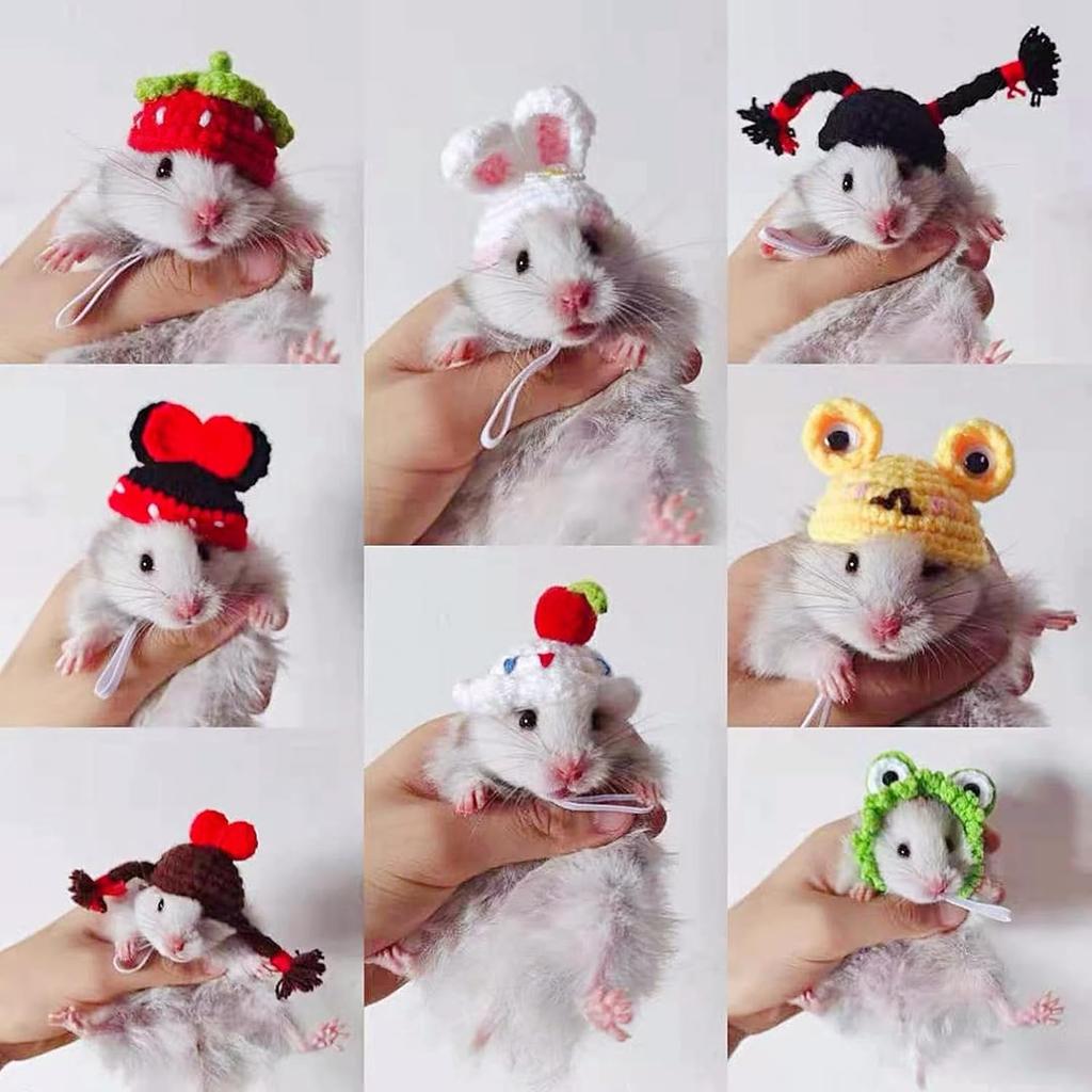 11pcs Hamster Hat, Cute Tiny Mini Hat, Hand Knitted Small Animal Hat and Hand Woven Traction Rope Set for Pets Lizards Hamsters Guinea Pig Holiday