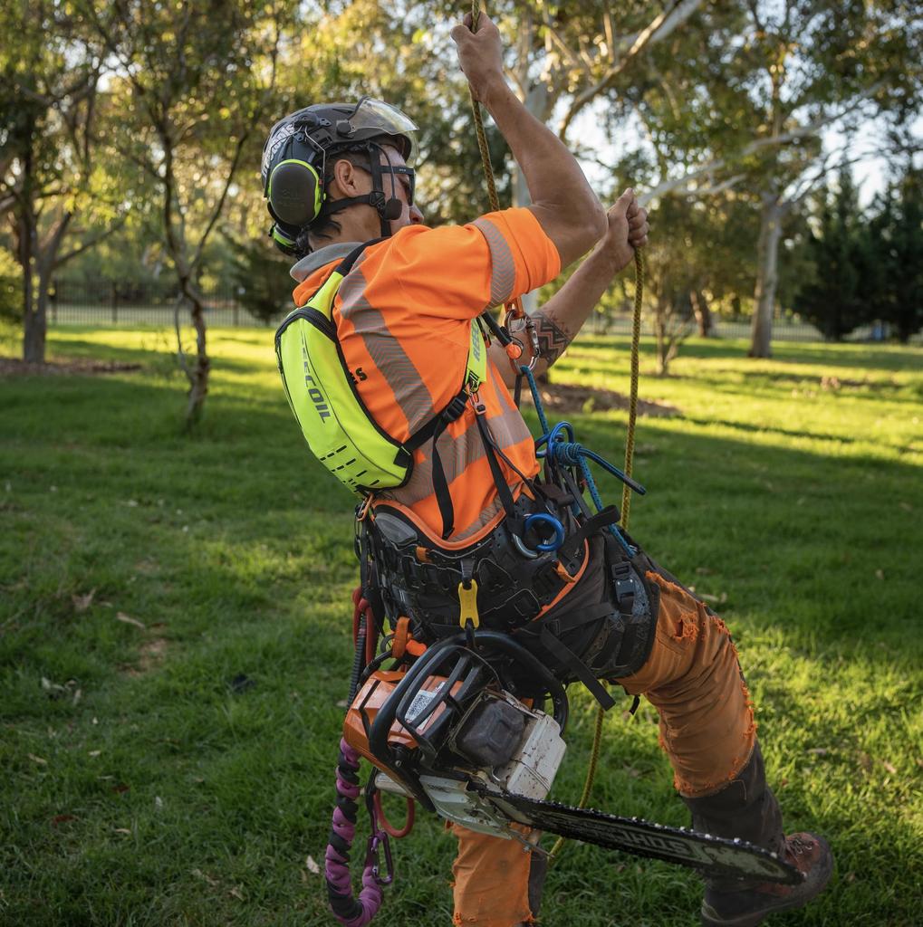 Reecoil 1500 Hydration Harness GEN2 Chest Harness for Tree and Tree Care AUDAX™ Hydration, Climbing, Arborist, (Yellow)