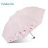 Heaven Umbrella UV Protection Folding Sunny & Rainy Umbrella