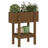 Planter Box Honey Brown 62 X 30 X 69 Cm Solid Pine Wood