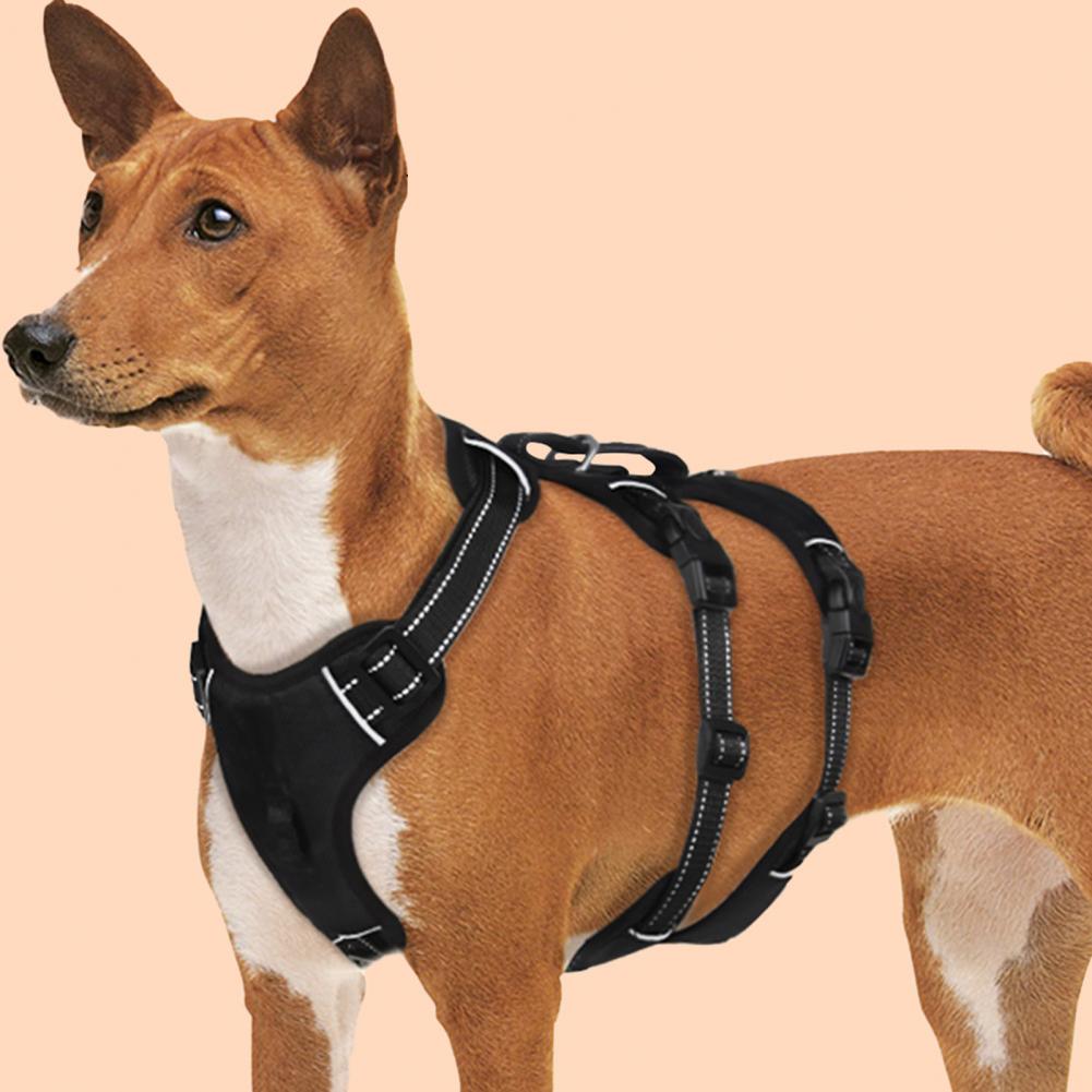 Imbracatura pettorale per animali domestici a tre strati, imbracatura per cani a prova di fuga, pettorale per cani con fibbia regolabile per non tirare