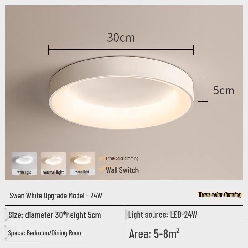 Modern Minimalist LED Ceiling Light