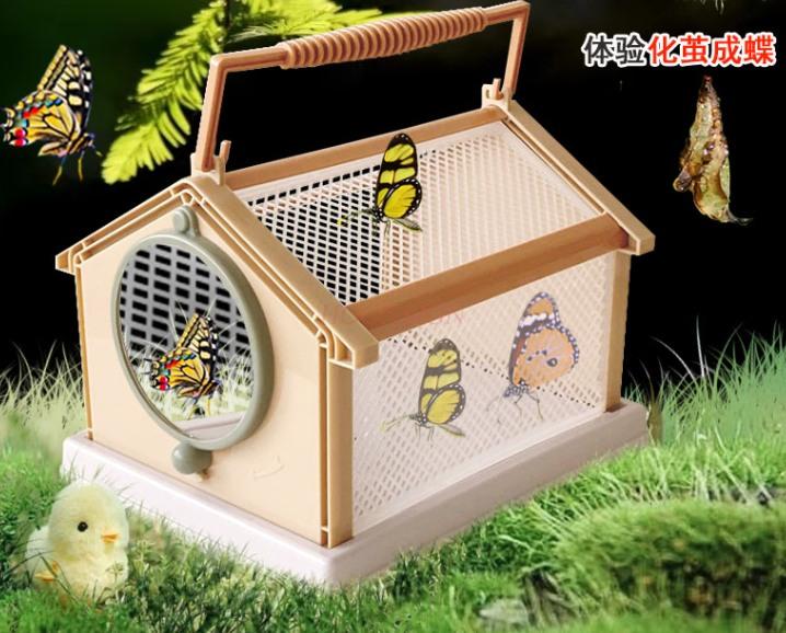 Schmetterlingspuppe Kann schlüpfen Tragbarer Insektenkäfig Beobachtungsbox Schmetterling Zikade Libelle Zuchtkäfig Sammelbox