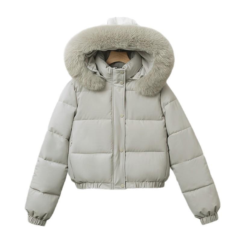 Winter neu großer Pelzkragen Baumwollkleidung Damen Koreanische Version Slim Fit klein mit verdickter Kapuzenjacke Studentenmantel Trend