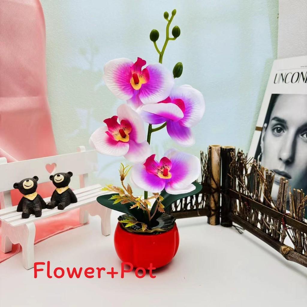 

Decor Phalaenopsis Artificial With Highquality Materials For Gift And Use Event PurpleWhite