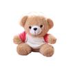 Doll Keychain Plush Pendant Bear T-Shirt Design Lightweight Key Holder Easy to Carry Keychain Backpack Accessories