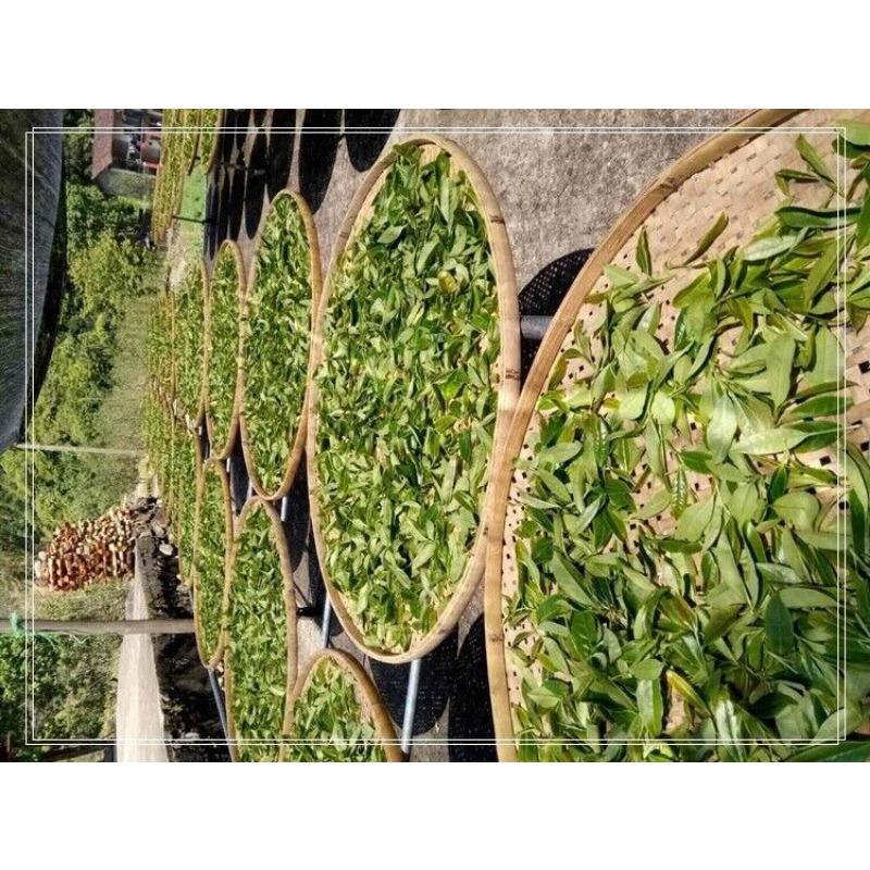 Zhangping Shui Xian Новый чай улун с ароматом орхидеи Old Fir Shui Xian 17 — фото 6