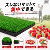 Alpha Depot Golf Practice Net Approach Set with Golf Mat and 20 EVA Balls, Foldable, IndoorOutdoor Use (Normal)