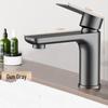 TLXT Stainless Steel Hot & Cold Basin Faucet