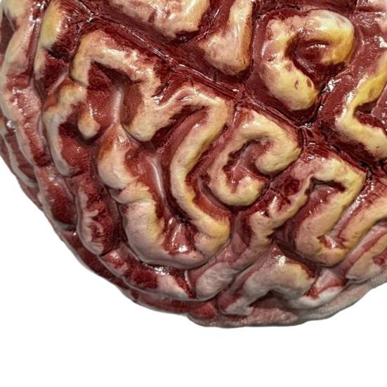 Zombie Brain Cap Creepy Latex Headpiece Realistic Brain Hat Halloween Costume Headwear for Cosplay Horror Themed Parties