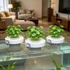 Round Hydroponic Planting Basket Plastic Hydroponic Plant Holder  Aquatic Environment
