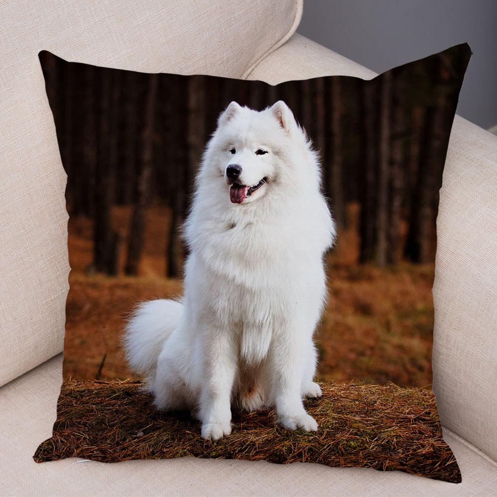 50 Stil Husă de Pernă Câine Alb Drăguț Samoyed Decor Husă de Pernă Animal de Companie Iubitor Husă de Pernă Moale de Pluș pentru Canapé Cameră Copii