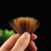 Beginner Student Brush Set - Sable & Wolf Hair for Chinese Painting and Calligraphy