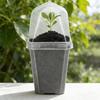 Clear Plant Nursery Pots Plastic Reusable Humidity Dome 3" Seedlings Pots with Pots Small Gardening Planters for Succulents