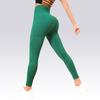 2025 Seamless High Waist Mesh Yoga Pants - Women's Fitness Leggings