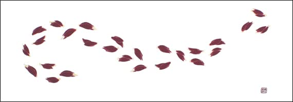 

Dyeing Anbo Hand Towel Authentic Dyed Cotton Tokuoka Made in Japan 35cm x 100cm Hanamyoga 100%