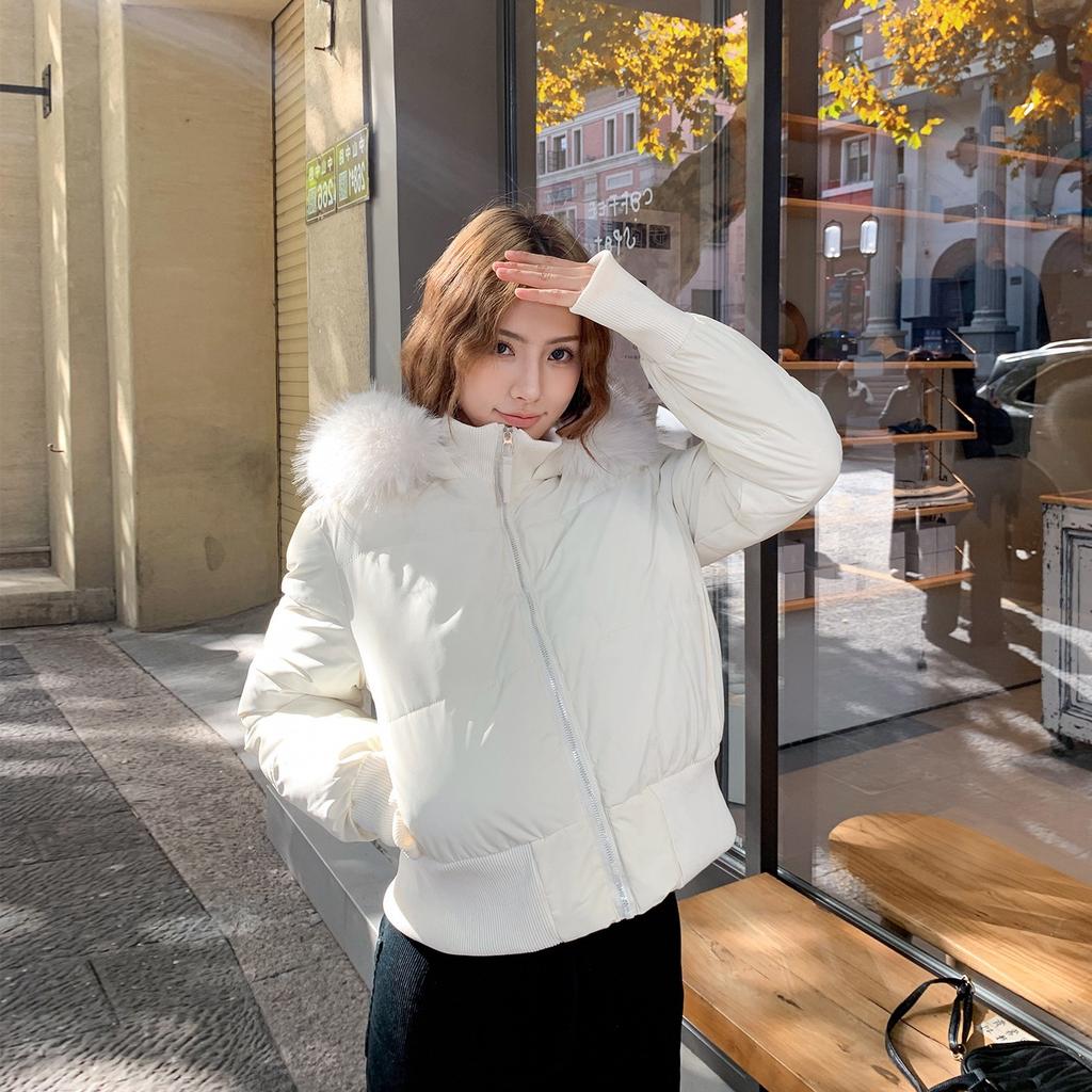 Waist short cotton clothes new thickened large fur collar thin cotton clothes winter little seagull cotton clothes