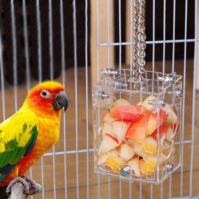 parrot puzzle feeder