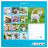 Calendar 2025-2026 Cute Kittens Wall Planner, Adorable Cat Organizer, 16-Month Hanging Schedule Sep 2025–Dec 2026, 12x12 in