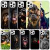 Rottweiler Hund Handyhülle Für IPhone 16 17 Air 16E 15 14 Plus 13 Mini 12 11 Pro Max 7 8 + SE 2020 Weiche TPU Rückseite 16 15 14 1