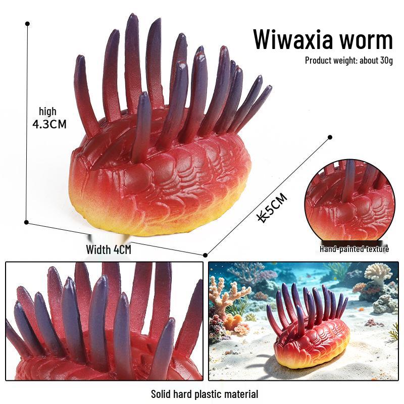 Simulationsmodelle von Meerestieren: Qualle, Oktopus, Meeresgarnele, Seeanemone, Tintenfisch, Pfeilschwanzkrebs, Flusskrebs, Pfeilkraut