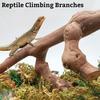 VCEPJH Snake Climbing Branch, 2Pcs Reptile Wood Natural Cork Log Tank Accessories Tree Trunk for Chameleon Bearded Dragon Gecko Snake Frog Spider