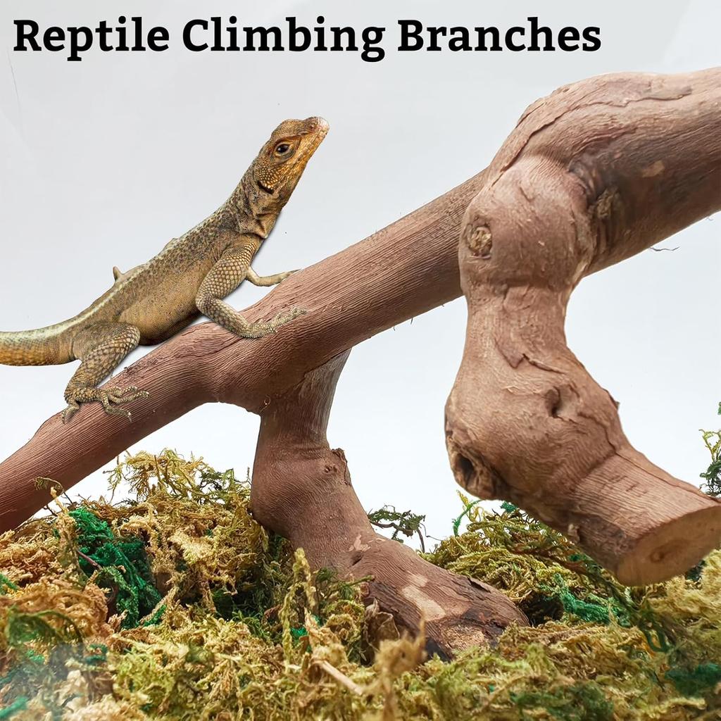 VCEPJH Snake Climbing Branch, 2Pcs Reptile Wood Natural Cork Log Tank Accessories Tree Trunk for Chameleon Bearded Dragon Gecko Snake Frog Spider