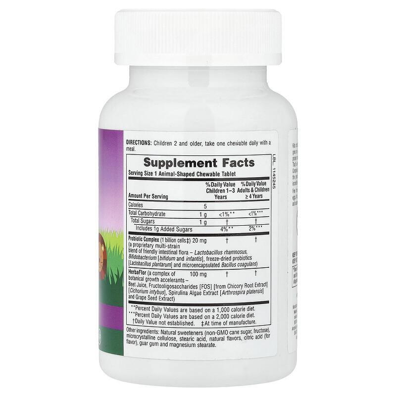 Animal Parade® AcidophiKidz®, Children's Chewable Probiotic, Berry, 90 Animal-Shaped Tablets