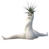 Hilarious Big Booty Ghost Planter Succulent Planter Air Plant Display Indoor Planter Decor Planter Plant Pots Funny Prank Gift