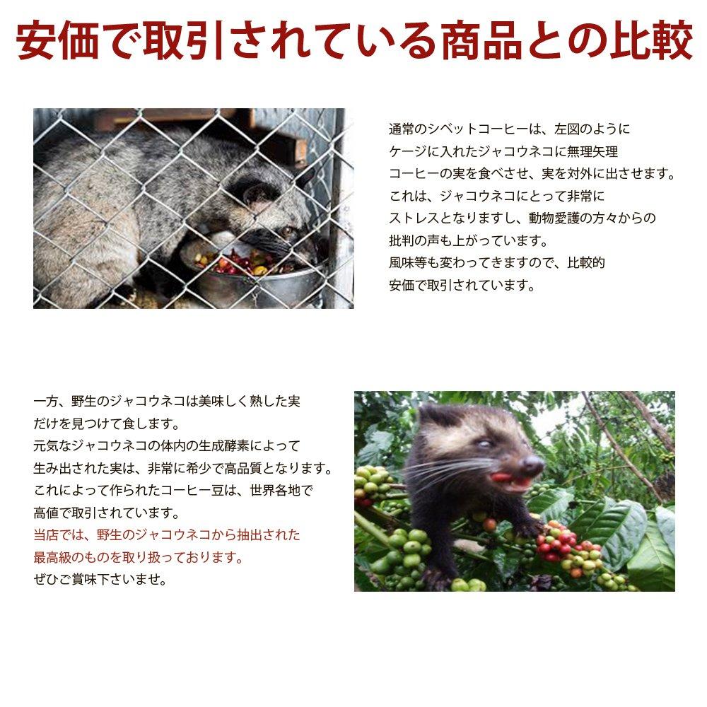 Luxury Coffee Beans Gift The Most Expensive Mysterious Civet Coffee Wild Civet Valuable Cape Aramid 100g Only now comes with a coffee [DIZON FARMS]
