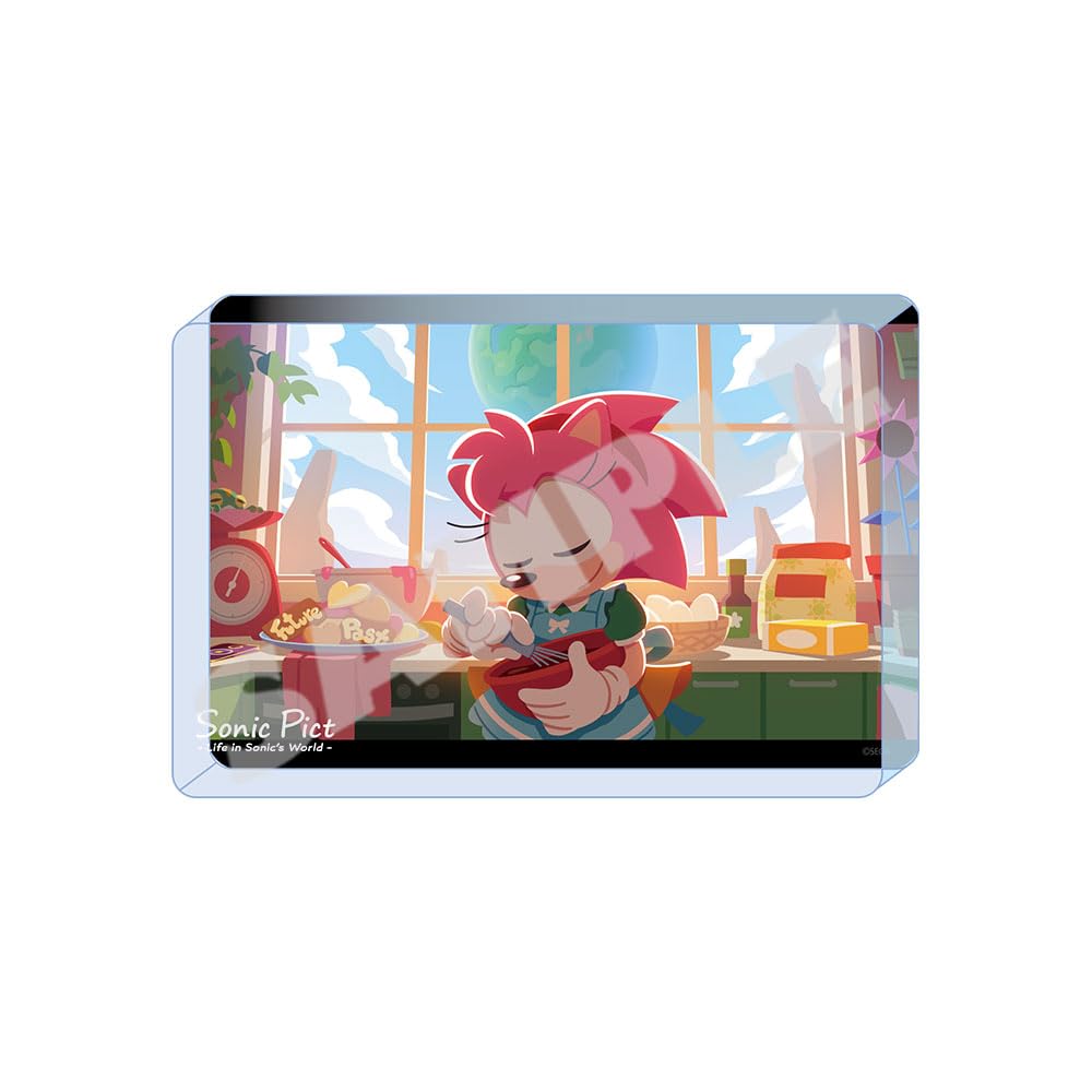 

Sonic the Hedgehog Acrylic Block (SONIC PICT) February 2023 With love...