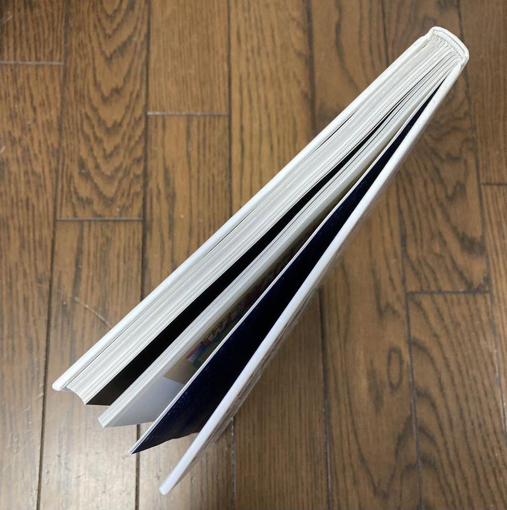 [USED] LETMAN: The Artwork and …of Job Wouters