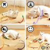 1 STK Katze Beißseil Spielzeug Zähneknirschen Langlebig Reizen Katze Teaser Spielzeug Maul reinigen Kätzchen Spielzeug Haustierbedarf Zubehör