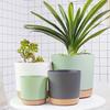 Plastic Flowerpot Flower Plant Pot Balcony Courtyard Potted Plants Bonsai Flowerpot with Drainage Home Garden Tray Macetas