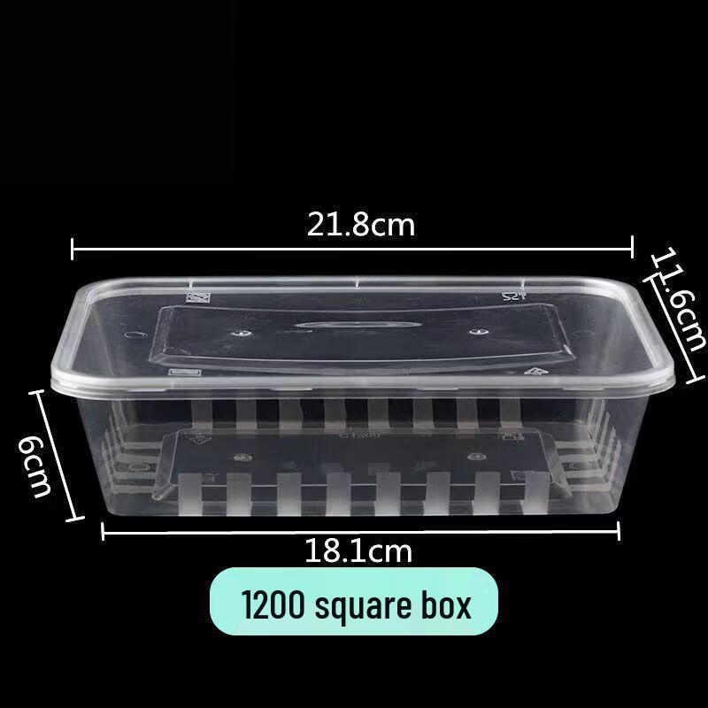 Disposable Rectangular Takeout Lunch Boxes