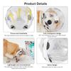 Transparent Dog Stop Barking Muzzle Stop Barking Anti-Bite Cat Dog Space Hood Breathable Pet Grooming Accessories