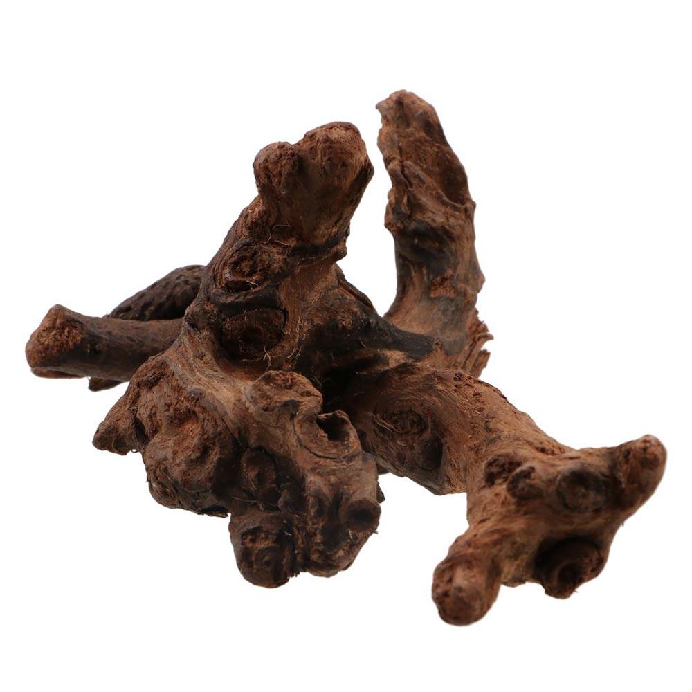 Unregelmäßige Form Korallenholz Naturholz Treibholz Stamm Aquariendekoration für Aquarium