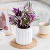 Eleganckie Półprzezroczyste Hydroponiczne Doniczki Ogrodowe z Efektywną Kontrolą Wilgoci Odpowiednie dla Sukulentów Bonsai