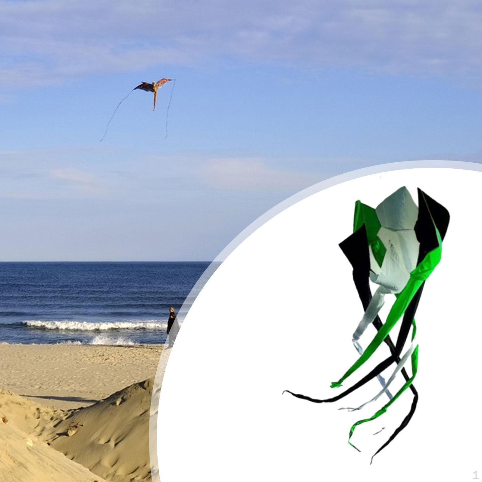 

Воздушный змей Flyer Популярный вращающийся трубчатый практичный декоративный элемент Стабильный простой в использовании Длинный мягкий хвост Black White Green