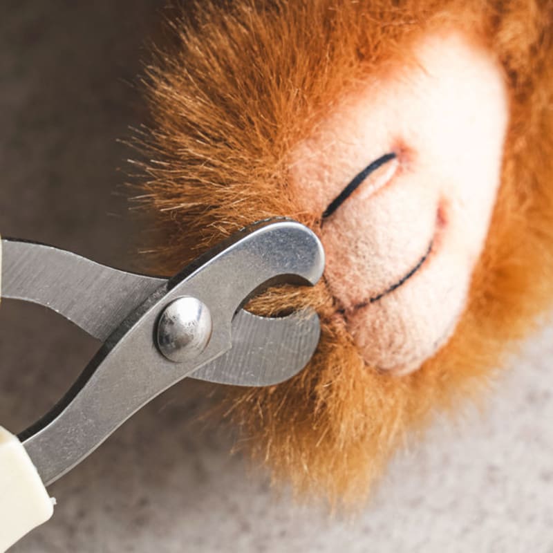 [Pet] Grip Type Claw Scissors