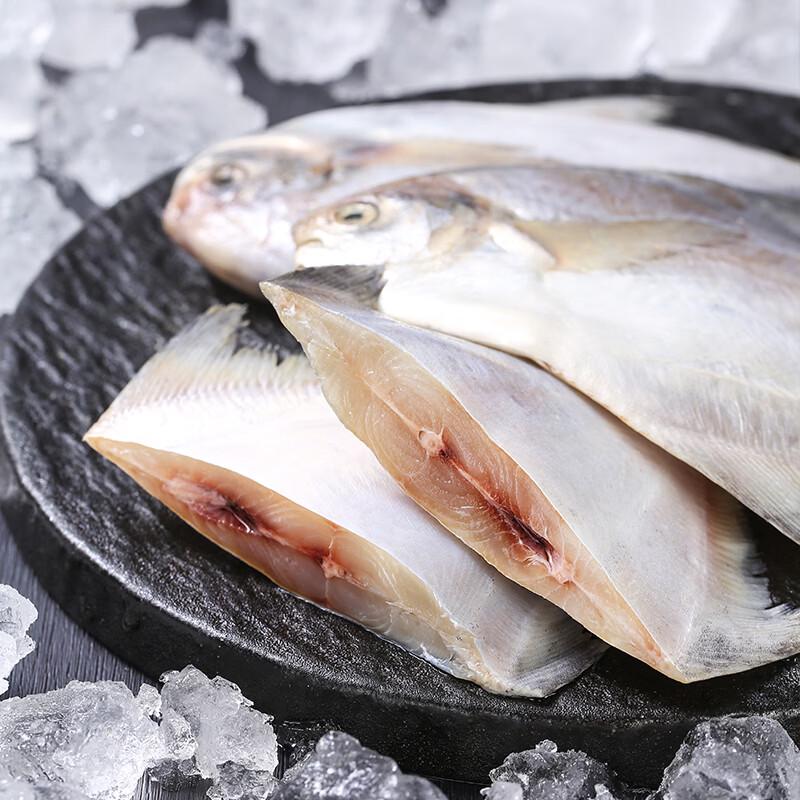 Pompano Argentato del Mar Cinese Orientale Fresco Surgelato