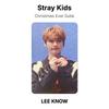 Stray Kids Christmas Evel Subk Official Photocard