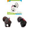 Realistic Poultry Model Toy With Educational Design For Children Learning And Collection