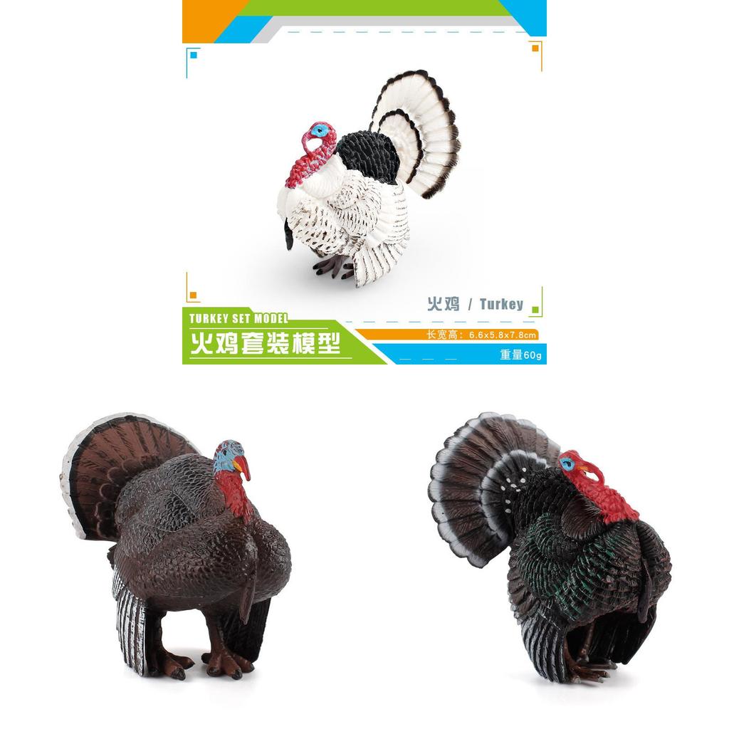Realistic Poultry Model Toy With Educational Design For Children Learning And Collection