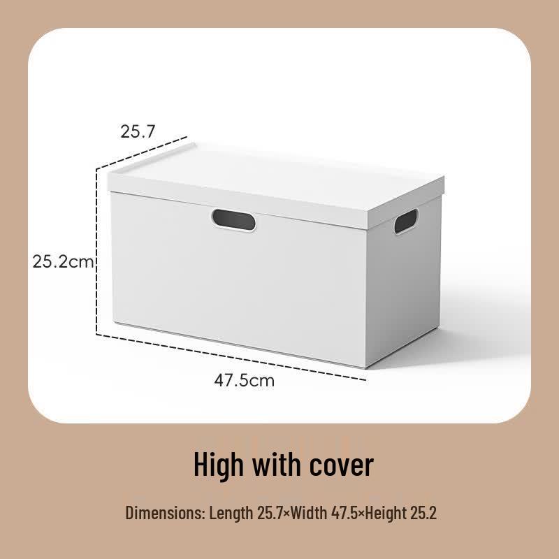 Youliheng XL Tall Storage Box with Lid