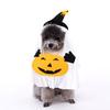 Pumpkin Witch Halloween Costume for Small & Medium Dogs and Cats