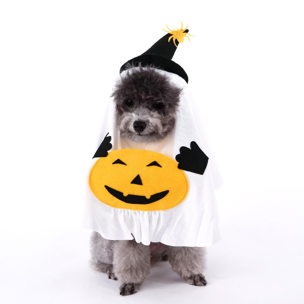 Pumpkin Witch Halloween Costume for Small & Medium Dogs and Cats