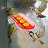 Visible Bird Water Drinker Refillable Hummingbird Water Dispenser Bird Water Station  Window