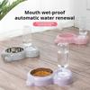 Double Bowl Set Cat Bowl , Pet Automatic Water Dispenser Bottle To Keep Your Pet Hydrated and Fed