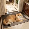 Absorbent Entryway Rug Cat Printed Home Floor Mat Cute Diatomite Door Mat  Porch